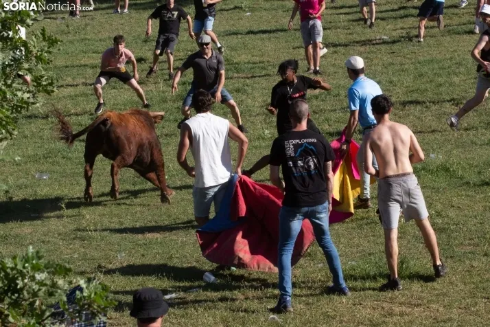 Lavalenguas 2025