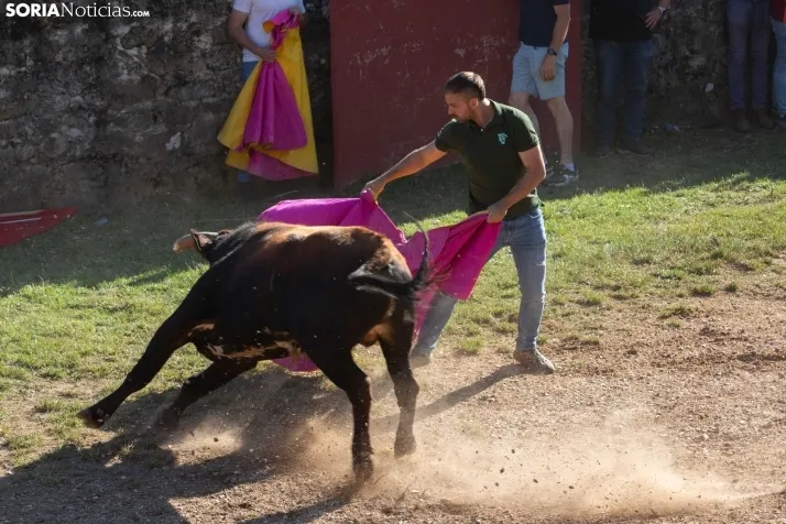 Lavalenguas 2025