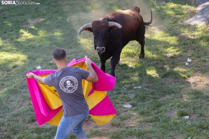 Lavalenguas 2025