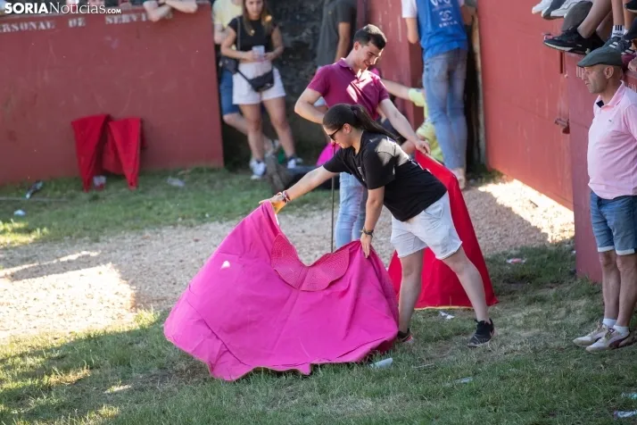 Lavalenguas 2025