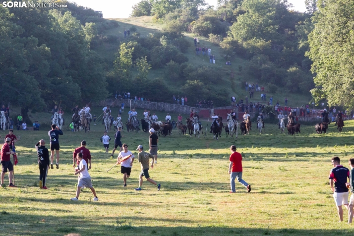 Lavalengüillas 2025