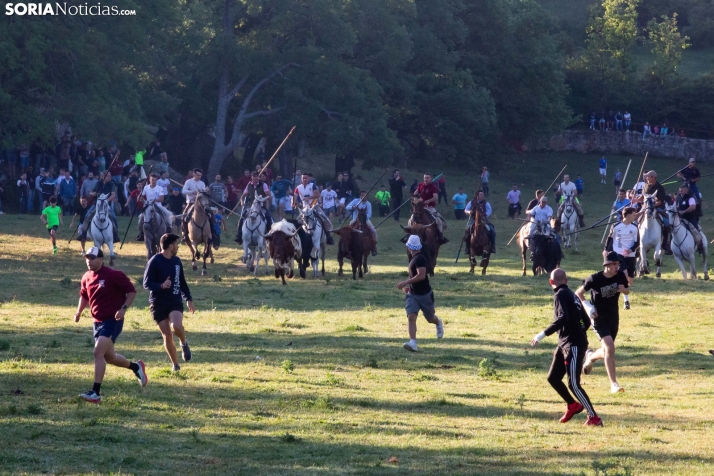 Lavalengüillas 2025