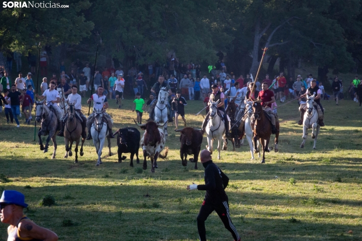 Lavalengüillas 2025