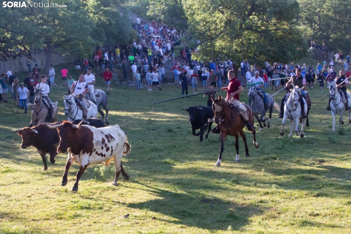 Lavalengüillas 2025