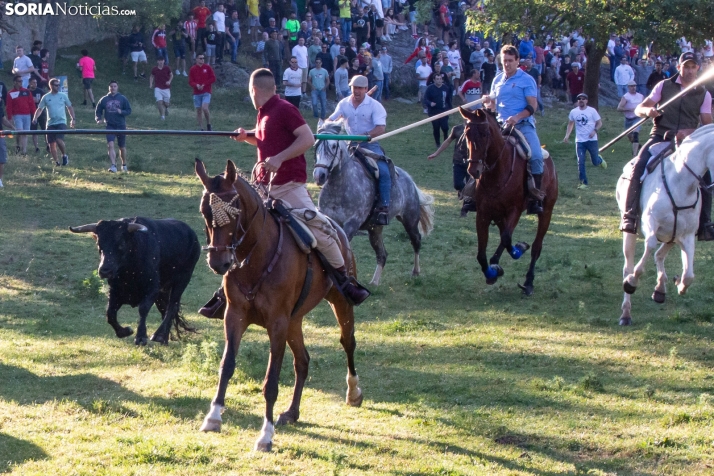 Lavalengüillas 2025