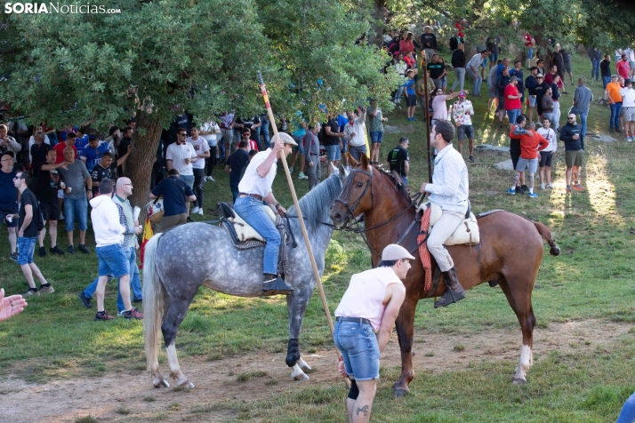 Lavalengüillas 2025