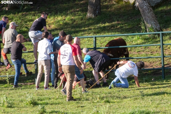 Lavalengüillas 2025