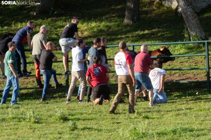 Lavalengüillas 2025