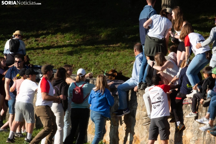 Lavalengüillas 2025