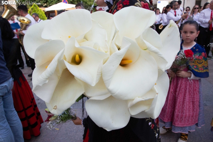 Ofrenda de flores Los Milagros 2025