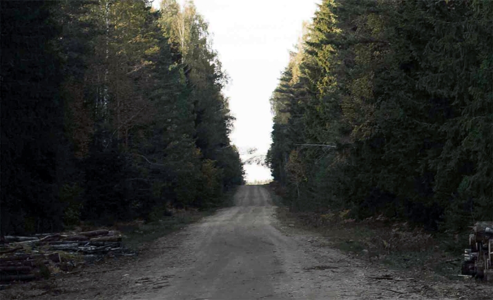 La Junta adjudica en 216.348 euros la mejora del firme de la pista forestal del Mojón del Arenal