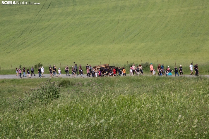 Ruta Carreteril Sarnago