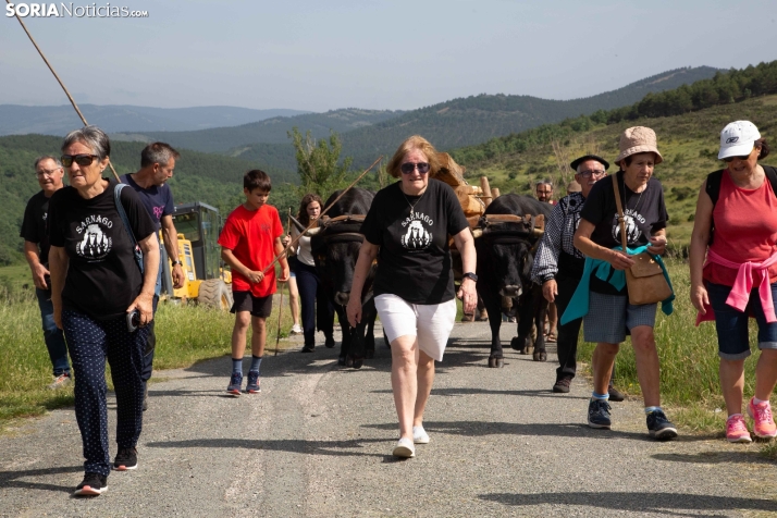 Ruta Carreteril Sarnago