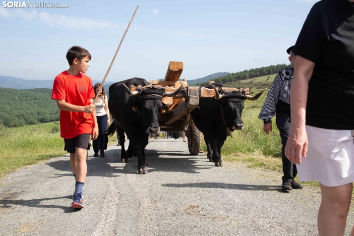 Ruta Carreteril Sarnago
