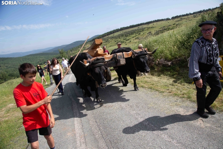 Ruta Carreteril Sarnago