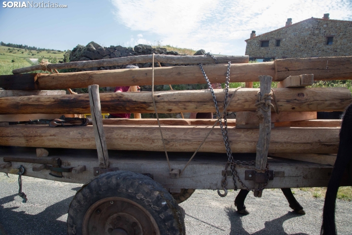 Ruta Carreteril Sarnago