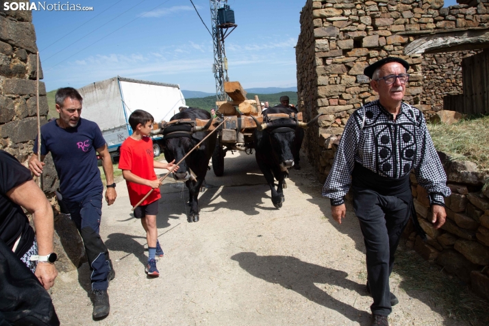 Ruta Carreteril Sarnago