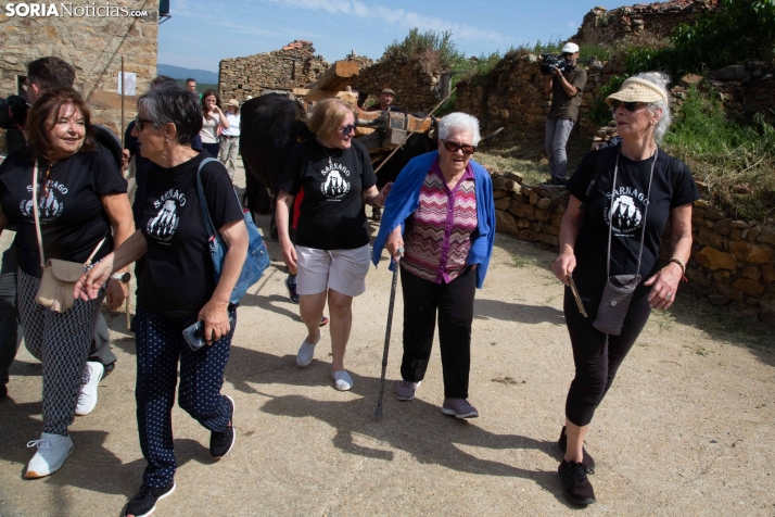 Ruta Carreteril Sarnago