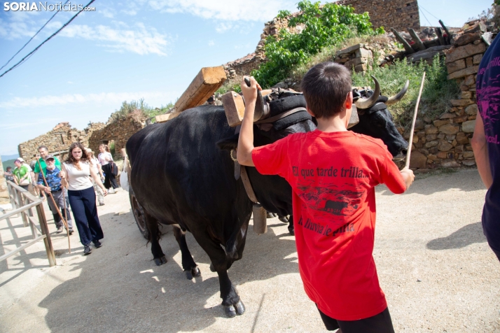 Ruta Carreteril Sarnago