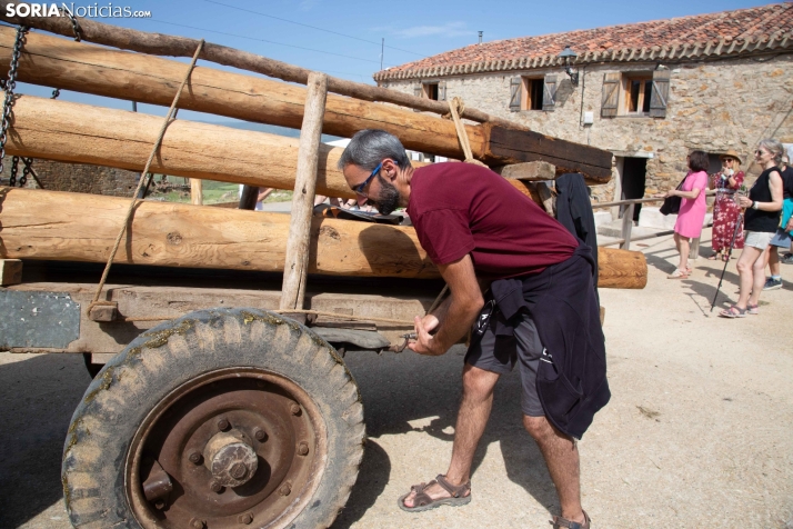 Ruta Carreteril Sarnago