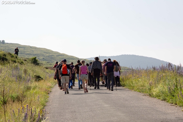 Ruta Carreteril Sarnago