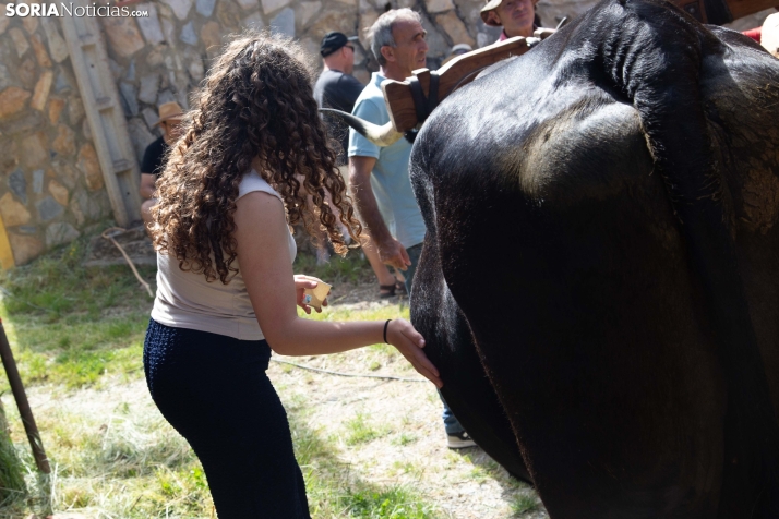 Ruta Carreteril Sarnago