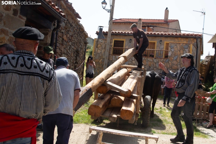 Ruta Carreteril Sarnago