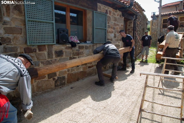 Ruta Carreteril Sarnago