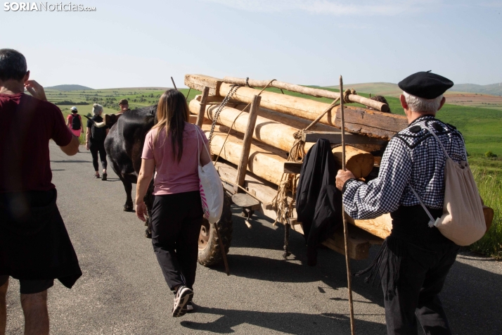 Ruta Carreteril Sarnago