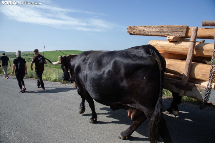 Ruta Carreteril Sarnago