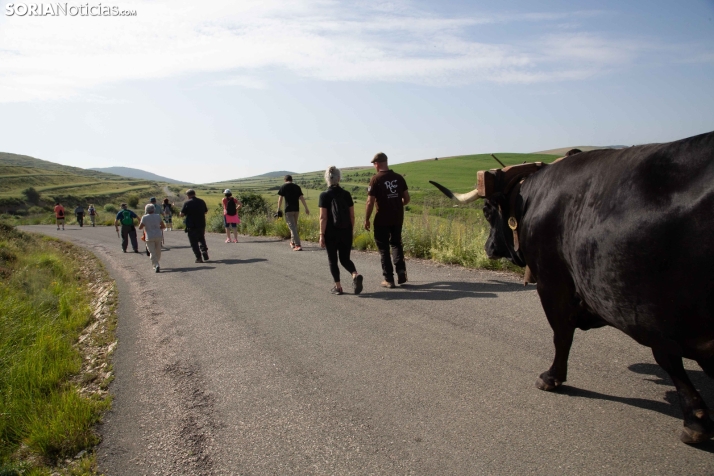 Ruta Carreteril Sarnago