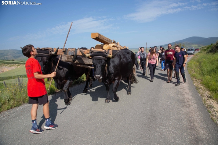 Ruta Carreteril Sarnago