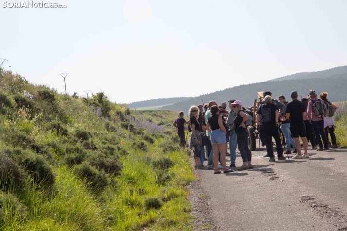 Ruta Carreteril Sarnago