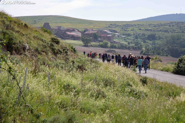 Ruta Carreteril Sarnago