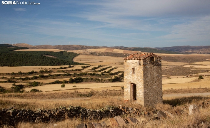 La Junta de Castilla y León reclama al Gobierno más financiación y una acción coordinada de todas sus políticas sectoriales a favor del reto demográfico
