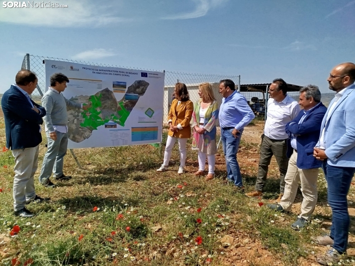 Primera campaña de regadío en Hinojosa del Campo: una importante empresa cultiva 70 hectáreas de lechugas y escarolas