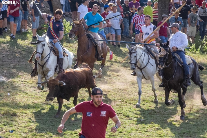 Once novillos en una &lsquo;Comprilla&rsquo; que ha empezado de manera apasionante