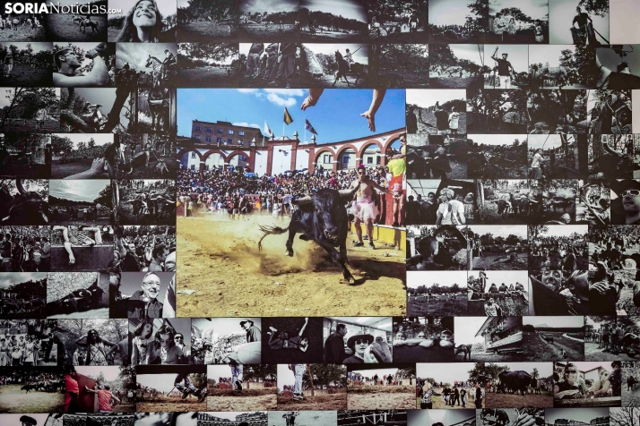 Santa Bárbara./ Viksar Fotografía