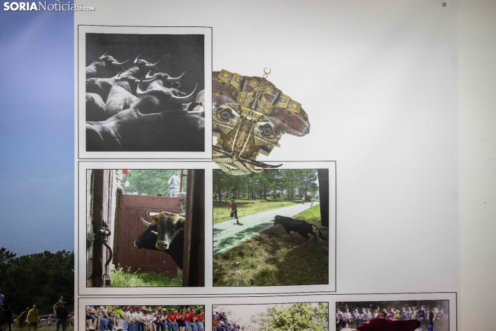 Santa Bárbara./ Viksar Fotografía