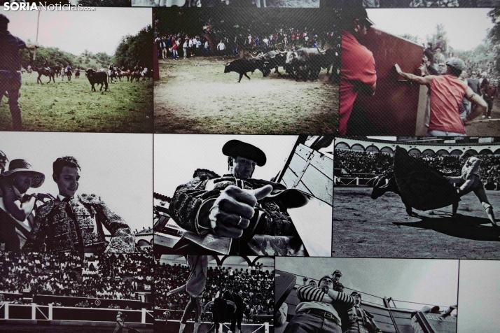 Santa Bárbara./ Viksar Fotografía