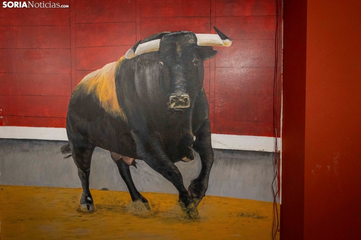 San Esteban./ Viksar Fotografía