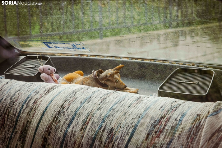 Coches clásicos en San Esteban 2025./ Viksar Fotografía