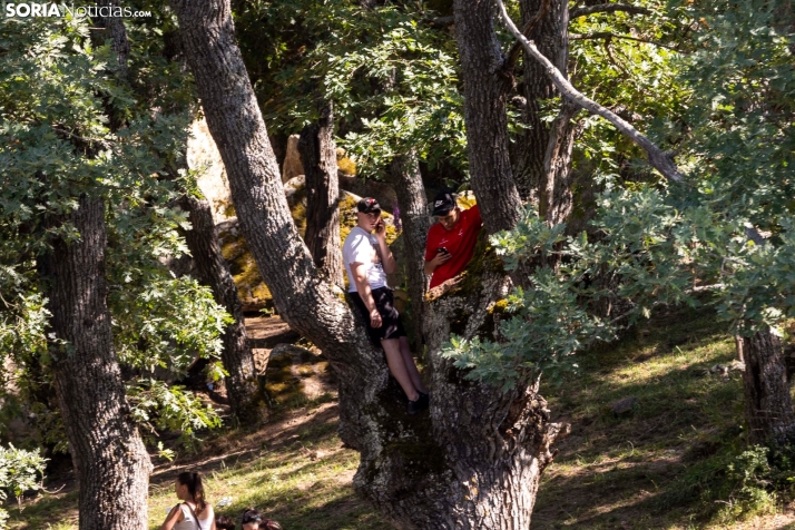 Suelta de la 'Compra' 2025./ Viksar Fotografía