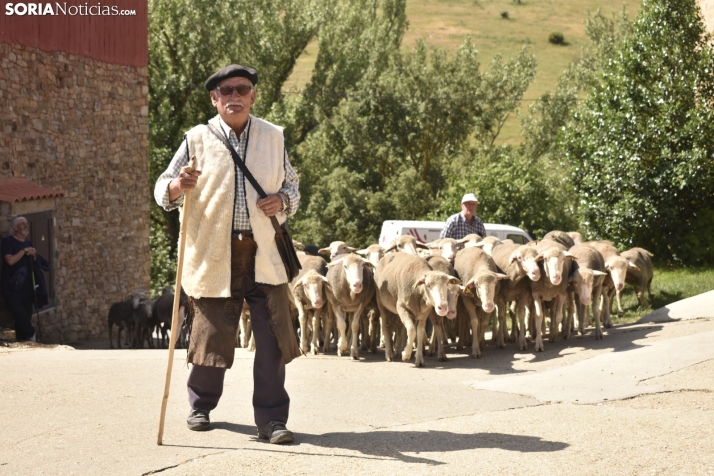 Fiesta de la Trashumancia 2025 en Oncala. /Encarna Muñoz