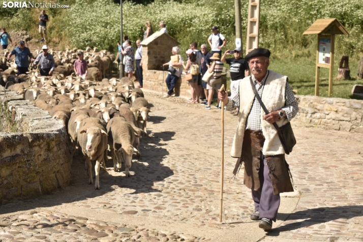 Fiesta de la Trashumancia 2025 en Oncala. /Encarna Muñoz