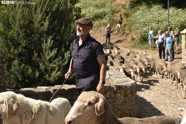 Fiesta de la Trashumancia 2025 en Oncala. /Encarna Muñoz