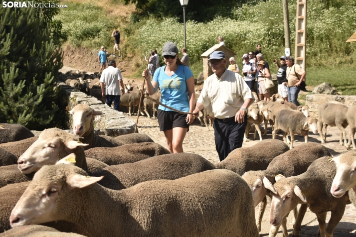 Fiesta de la Trashumancia 2025 en Oncala. /Encarna Muñoz