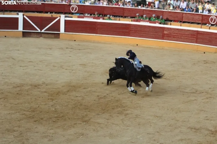 Una imagen de los rejones hoy en San Benito. /Santos Gómez