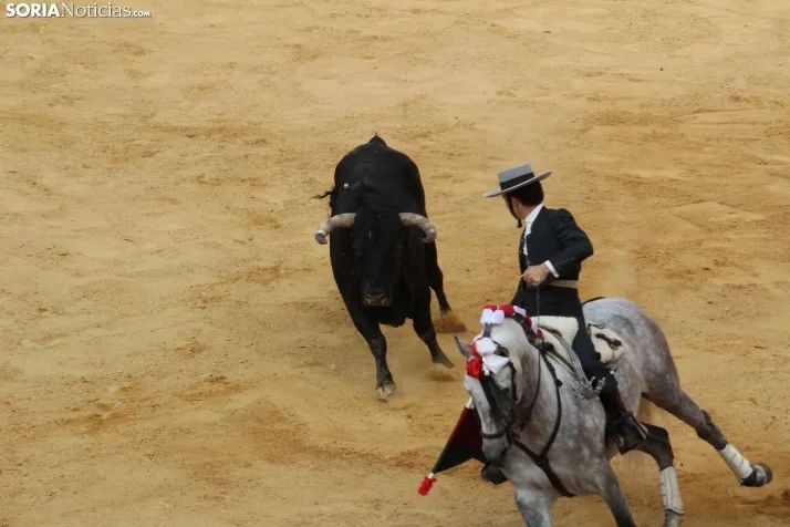Una imagen de los rejones hoy en San Benito. /Santos Gómez