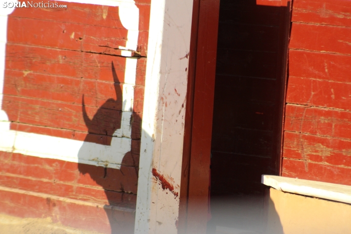 Una imagen de los toros de este Agés 2025. /Santos Gómez